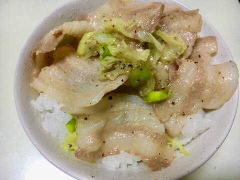 コンビニのネギ塩豚バラ弁当みたいなネギ塩豚丼